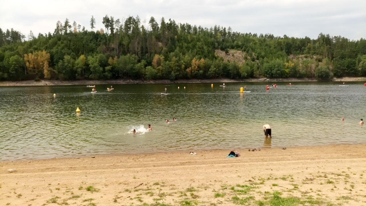 To the water! - My, Czech, Saturday, Walk, Forest, River, Beach, Mobile photography, Helicopter, Beautiful view, Video, Longpost