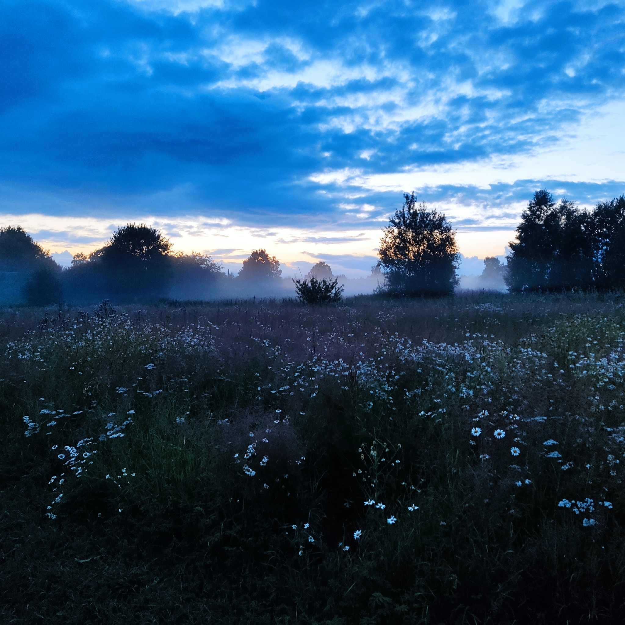 A long-awaited vacation in the countryside - My, Vacation, Summer, Village, Relaxation, Sunset, Fog, The photo