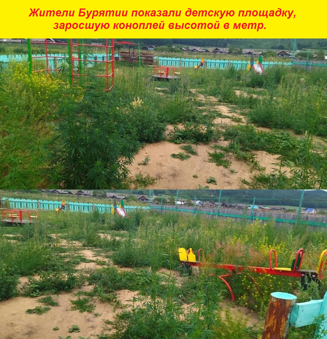 Boasting is not nice! )) - Humor, news, Picture with text, Buryatia, Hemp, Playground