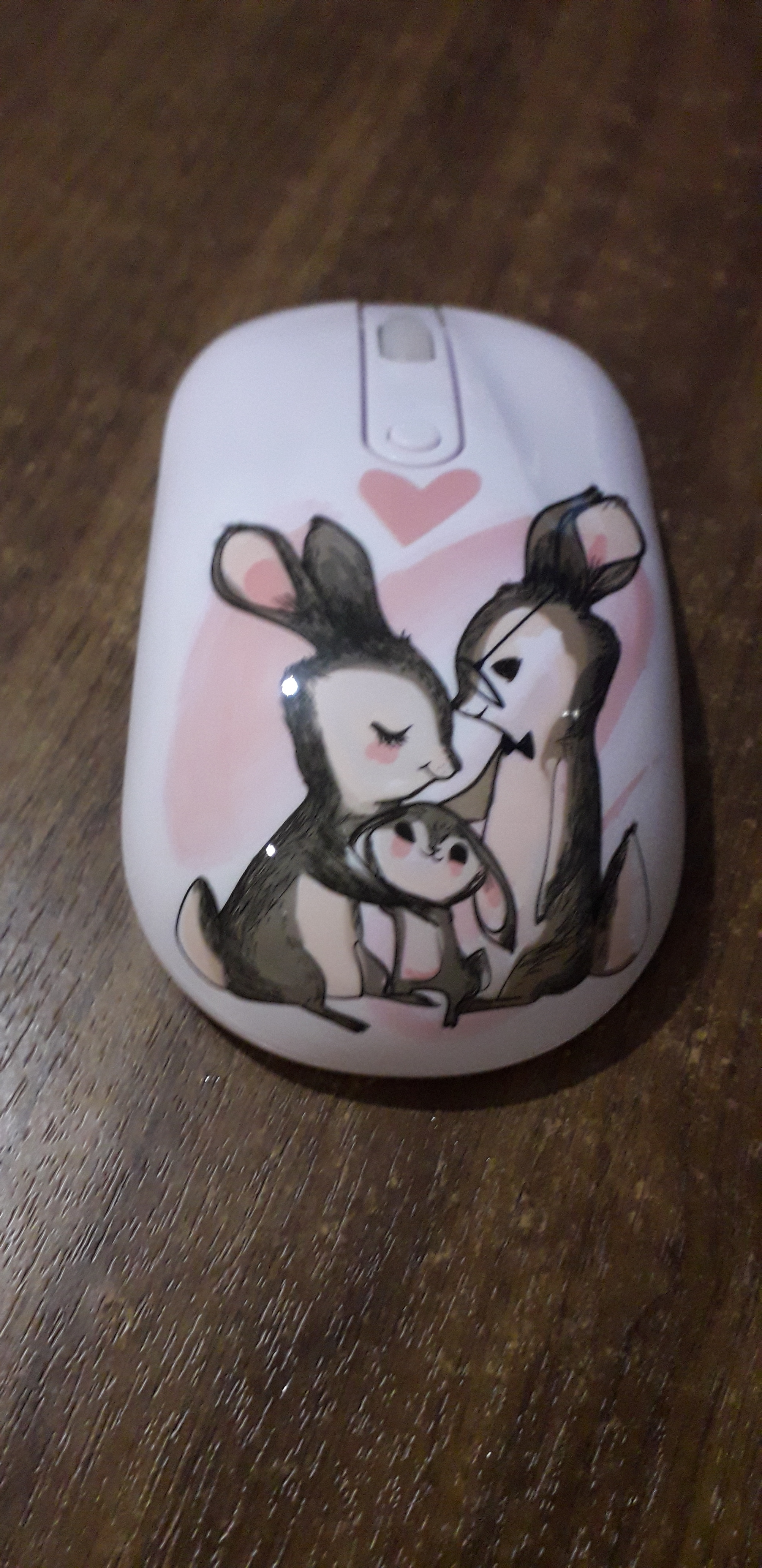 Husband bought a mouse - PC mouse, Milota