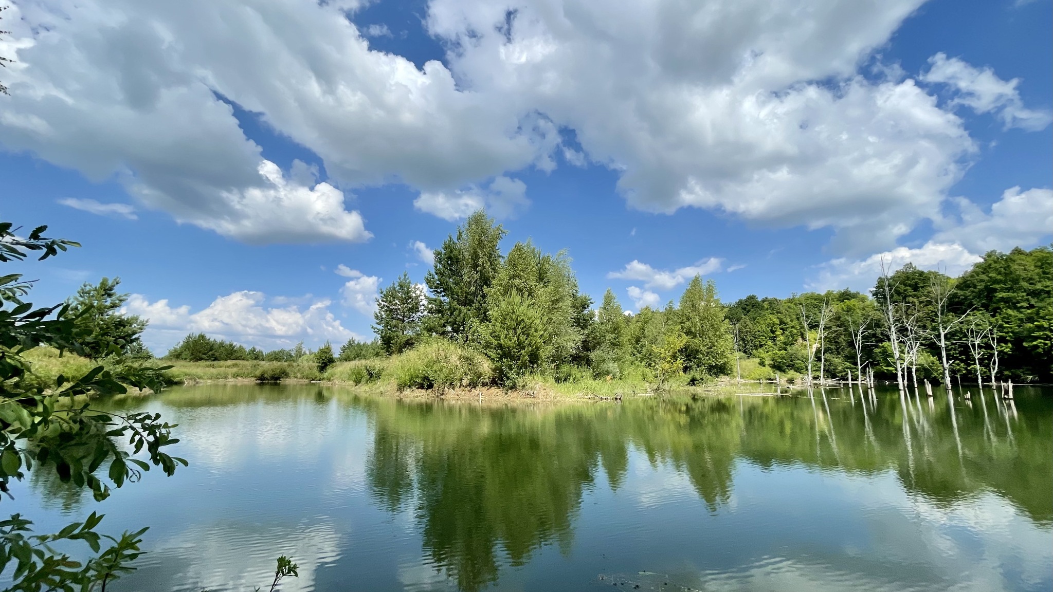 summer landscape - My, Mobile photography, Summer, Landscape, Lake, Tatarstan, Sky, Clouds