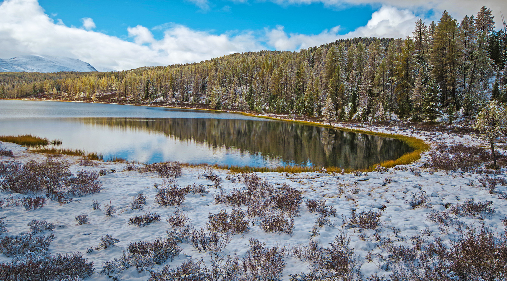 To Altai for miracles - My, Travel across Russia, Travels, Whisper, Photo tour, Siberia, Landscape, Longpost