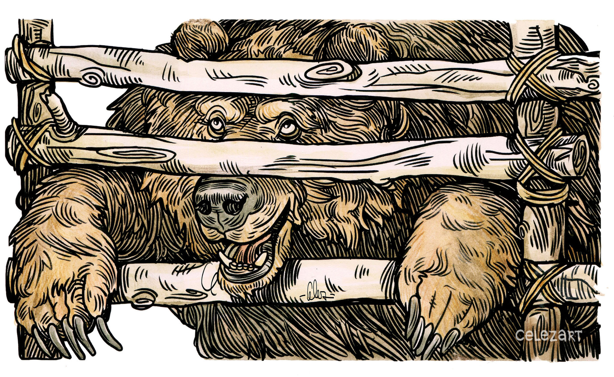 My drawings of bears - My, Art, Drawing, The Bears, Longpost