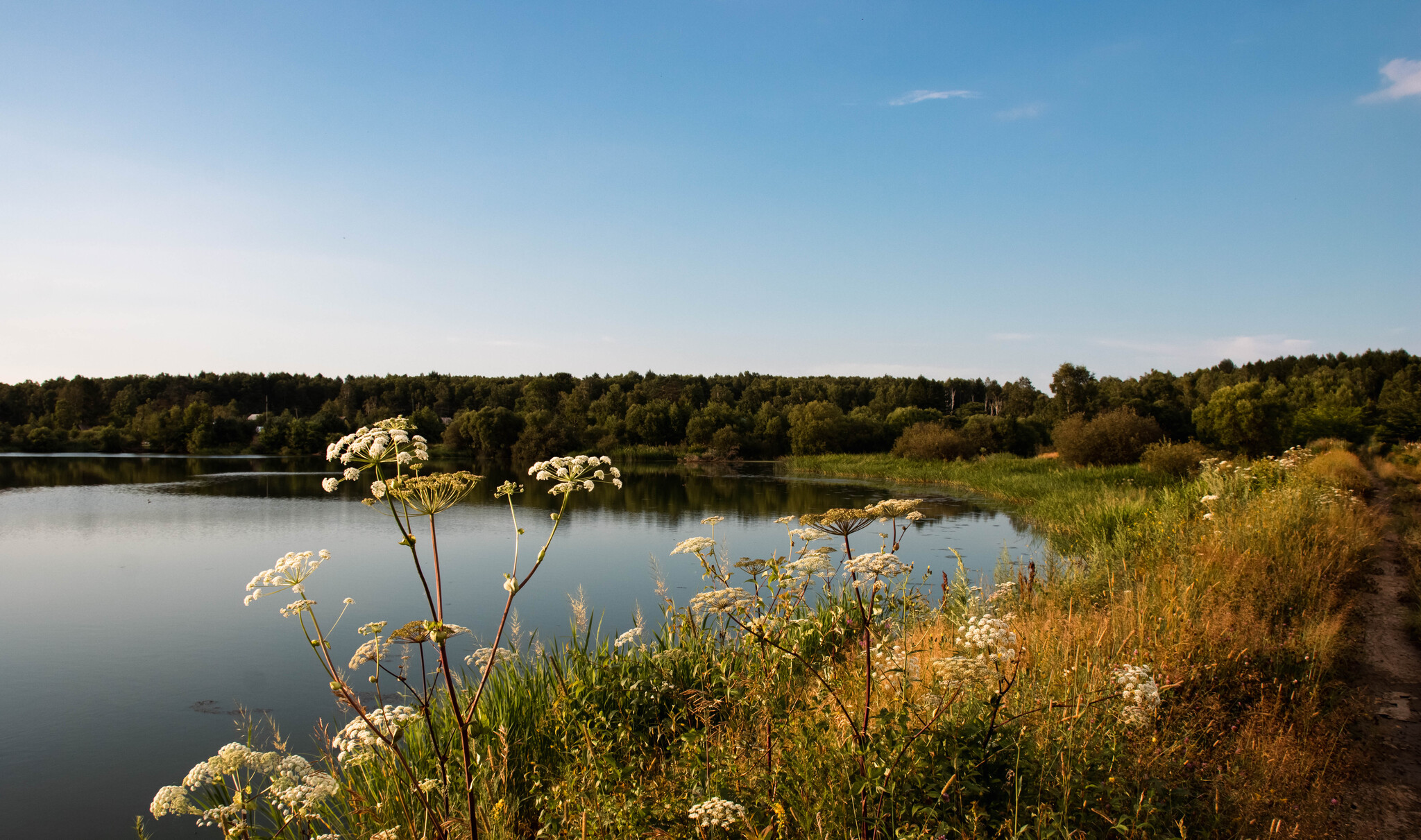 Walk on the lakes - My, The photo, Дальний Восток, Landscape, Khabarovsk, Lake, Nature, beauty of nature