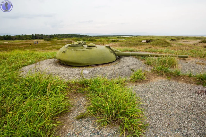 Artillery platoon of tank towers Starodubskoye abandoned on Sakhalin. - Sakhalin, Artillery, Tanks, Tower, Military equipment, Abandoned, Yandex Zen, Military, Longpost