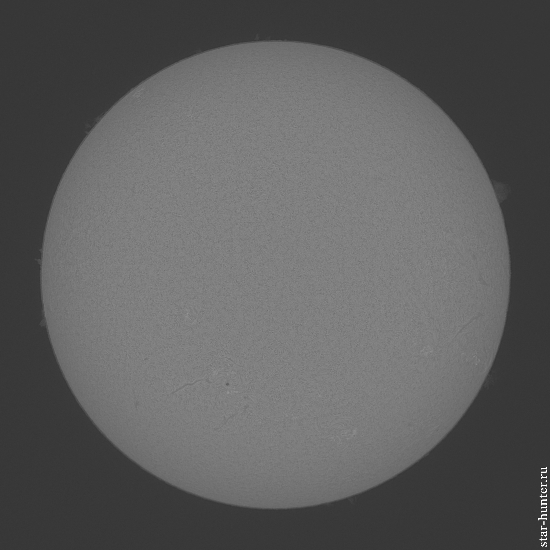 Photographing the Sun with the Coronado Chromospheric Telescope - My, The sun, Astrophoto, Coronado, Astronomy, Space, Starhunter, Anapa, Anapadvor, Longpost