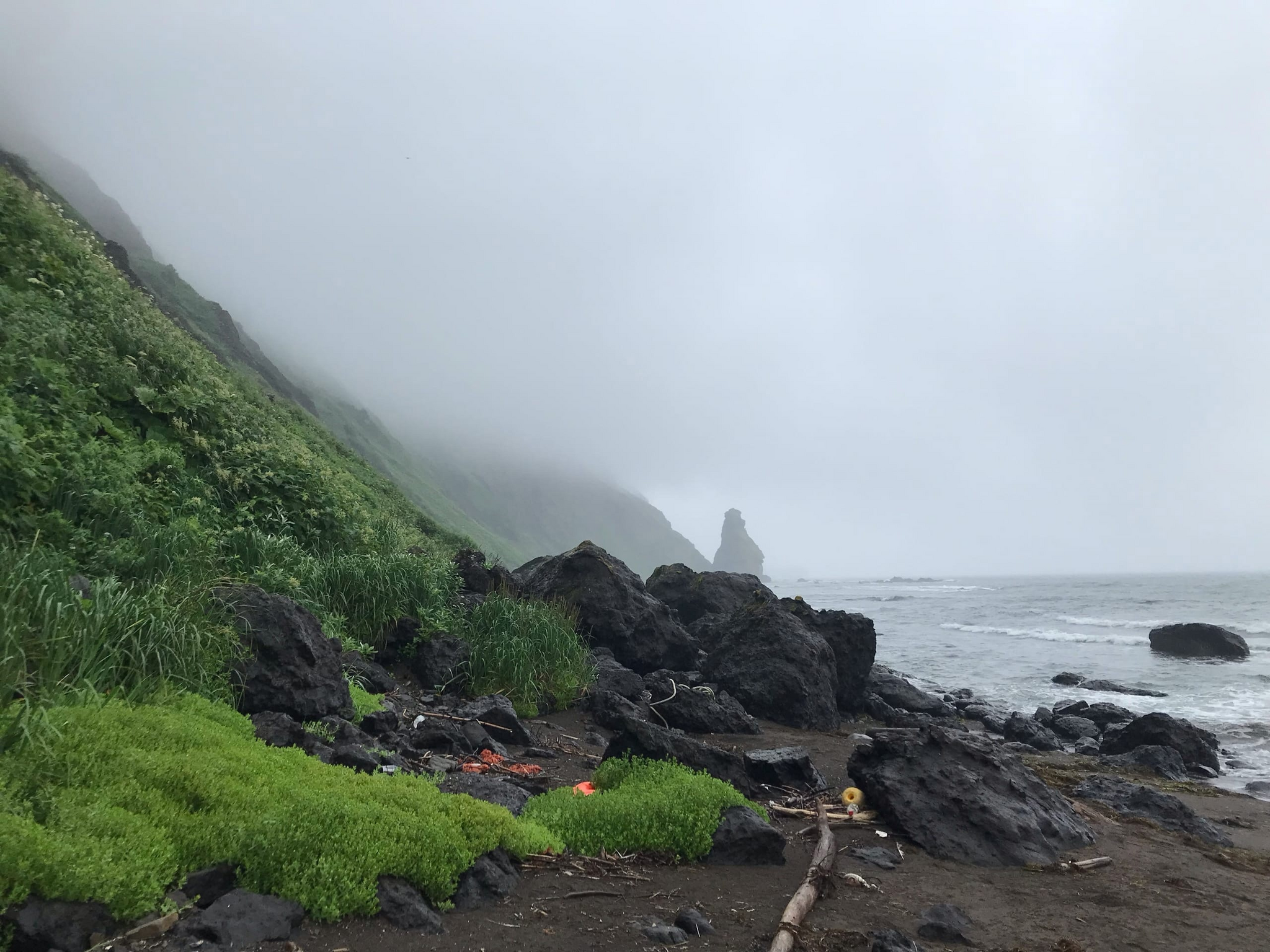 Soft herbal pillow on the seashore - My, Sakhalin, Quiet Bay, Sea, Sea of ??Okhotsk, Longpost