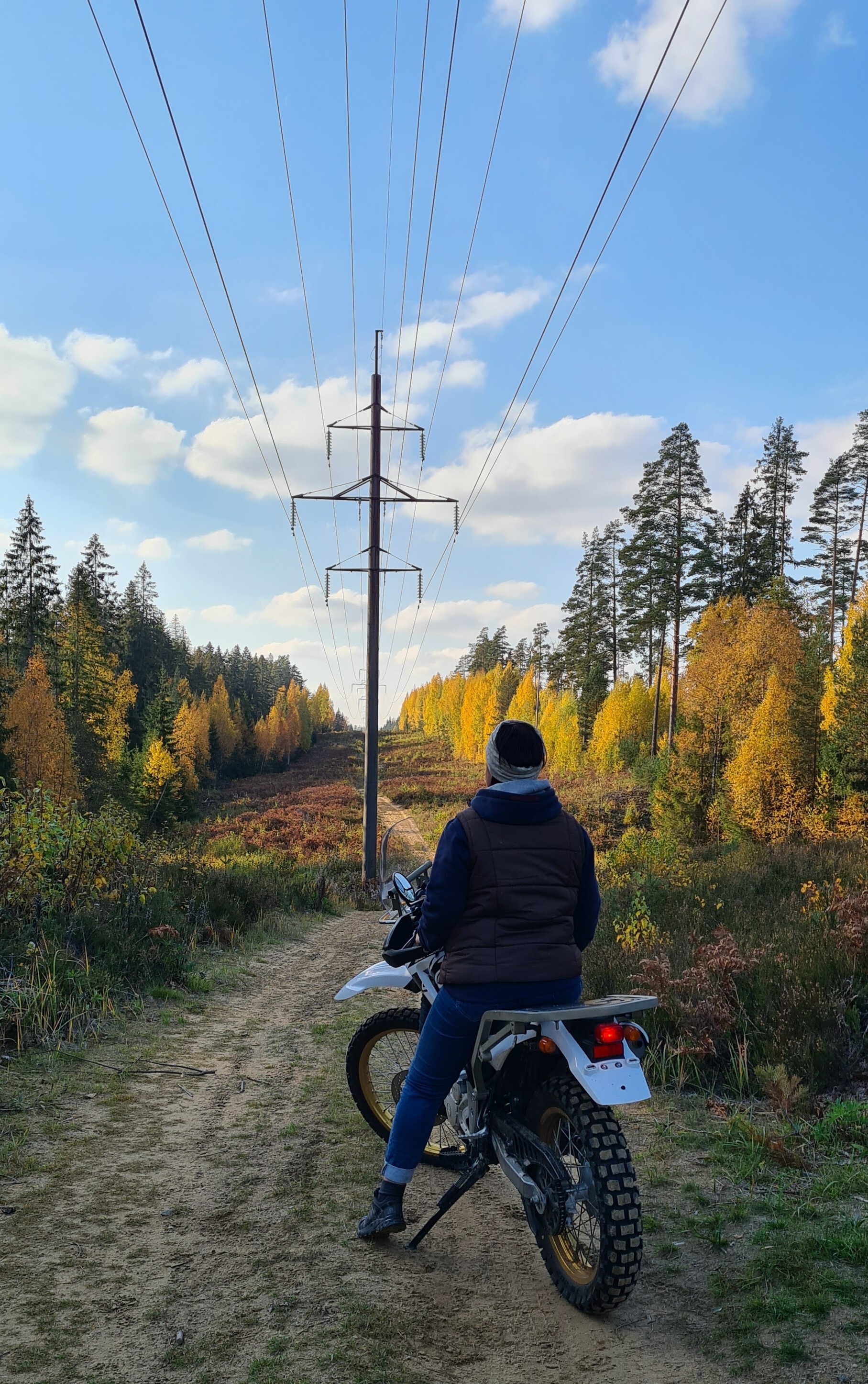 How I bought myself a Mountain Goat - My, Moto, Yamaha, Serow, Motorcycle season, Purchase, Dog, Season 1, Auction, Japan, Karelian Isthmus, Dacha, Longpost