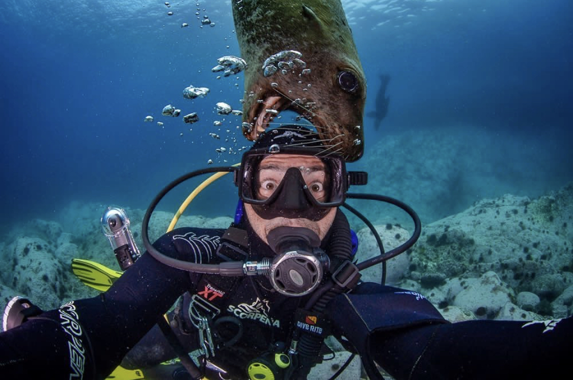 Russia, Moneron Island and that's it! - Sakhalin, Дальний Восток, Marine life, Sea lions, Moneron, Diving, Jellyfish, Longpost