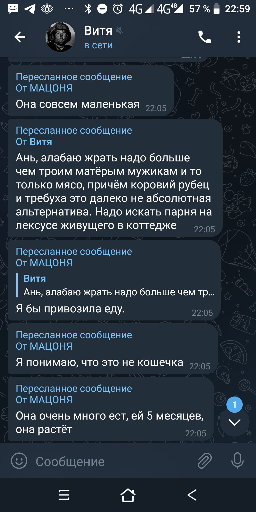 Алабай (нет, не Алабай) ищет дом или жертва имбецилов | Пикабу