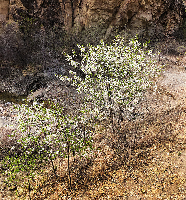 Road to Datong Temple - My, Travel across Russia, Travels, Dagestan, Whisper, Photo tour, Longpost