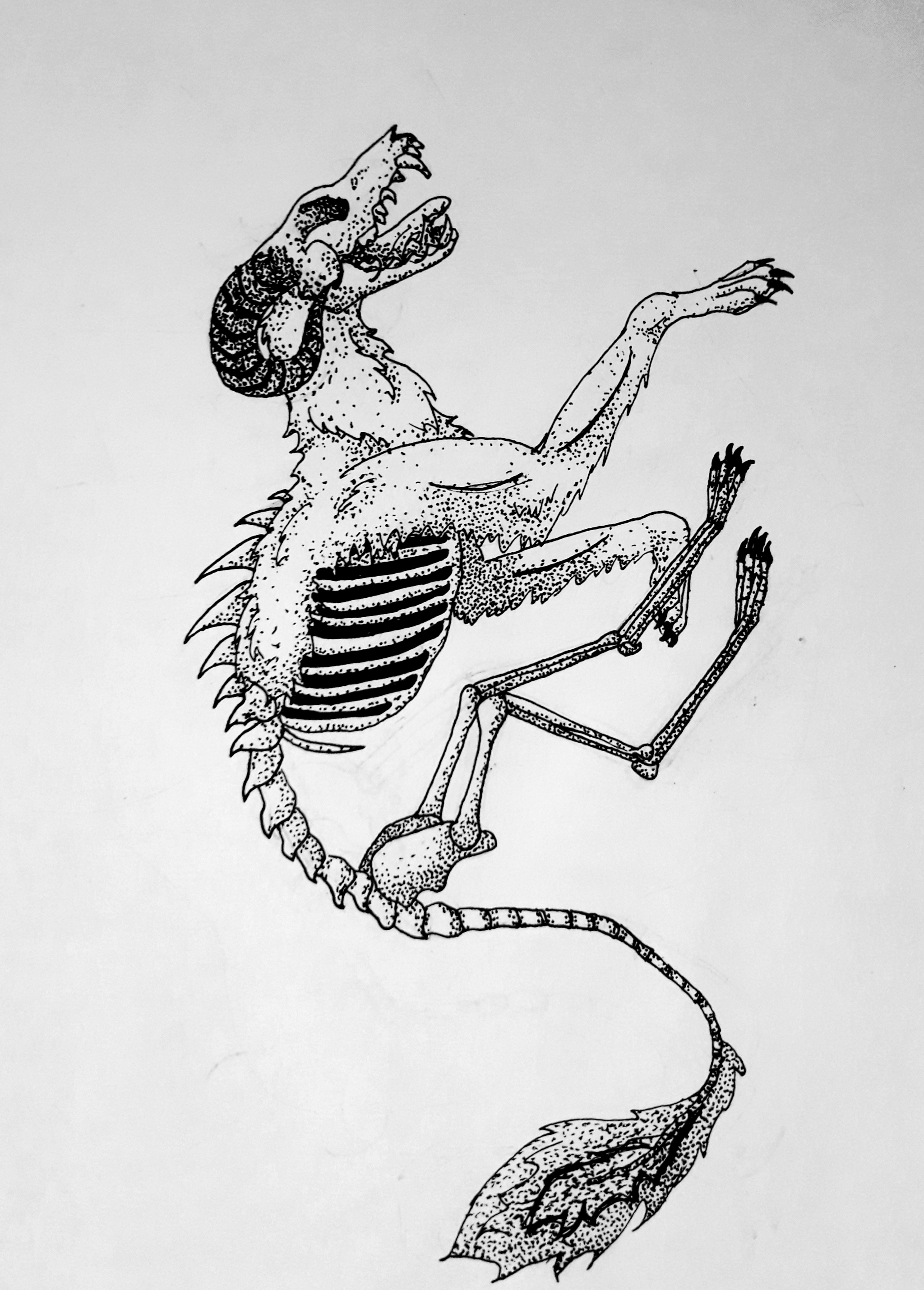 Skeletons - My, Pen drawing, Drawing, Skeleton, Wolf, Deer, Graphics, Creation, Art, Painting, Longpost