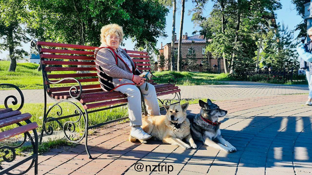 SVIYAZHSK. Millionaire and dogs. A photo. Part 3 - Sviyazhsk, Travels, Nature, The photo, Tatarstan, Longpost