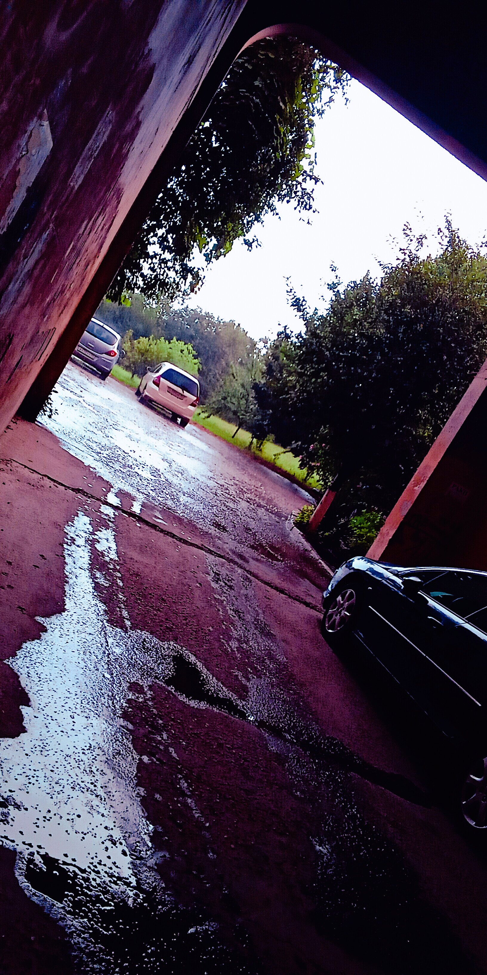 It's raining, it's raining, it's raining, it's raining... - My, Gulkevichi, Rain, Summer, July, Longpost