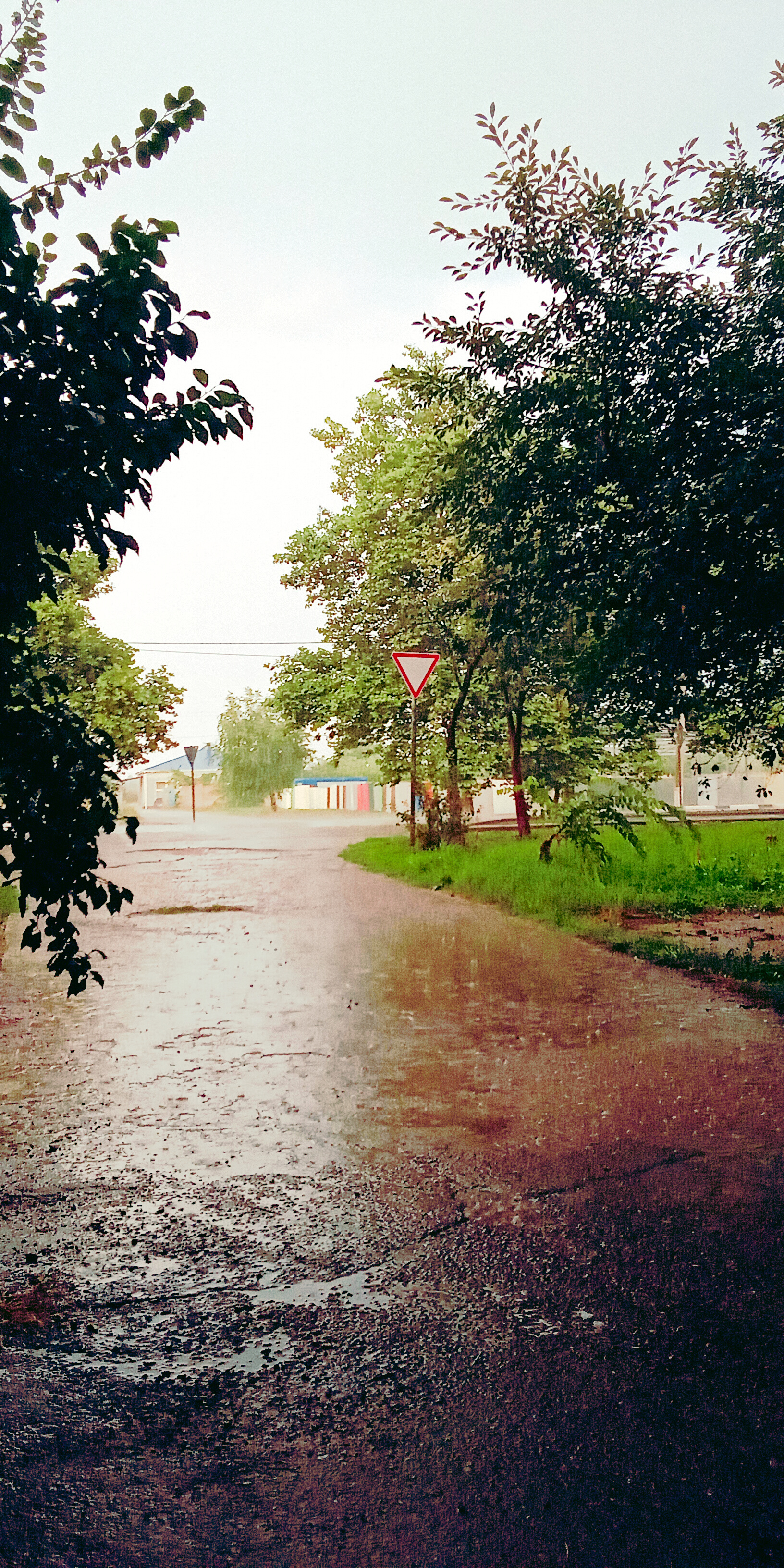 It's raining, it's raining, it's raining, it's raining... - My, Gulkevichi, Rain, Summer, July, Longpost