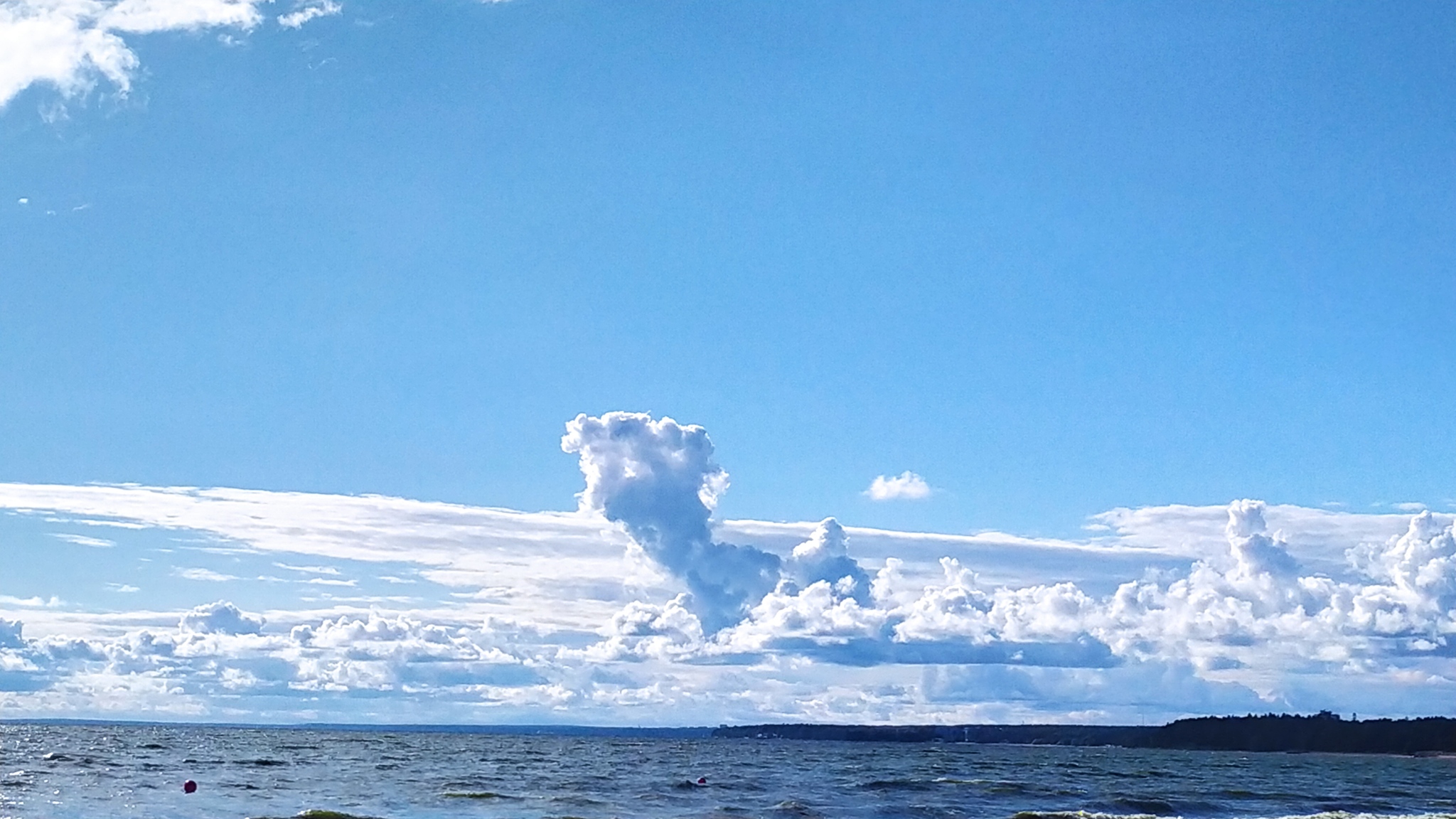 Cloud in the shape of a dog - Mobile photography, Clouds, The Gulf of Finland, The beach is gentle, Pareidolia