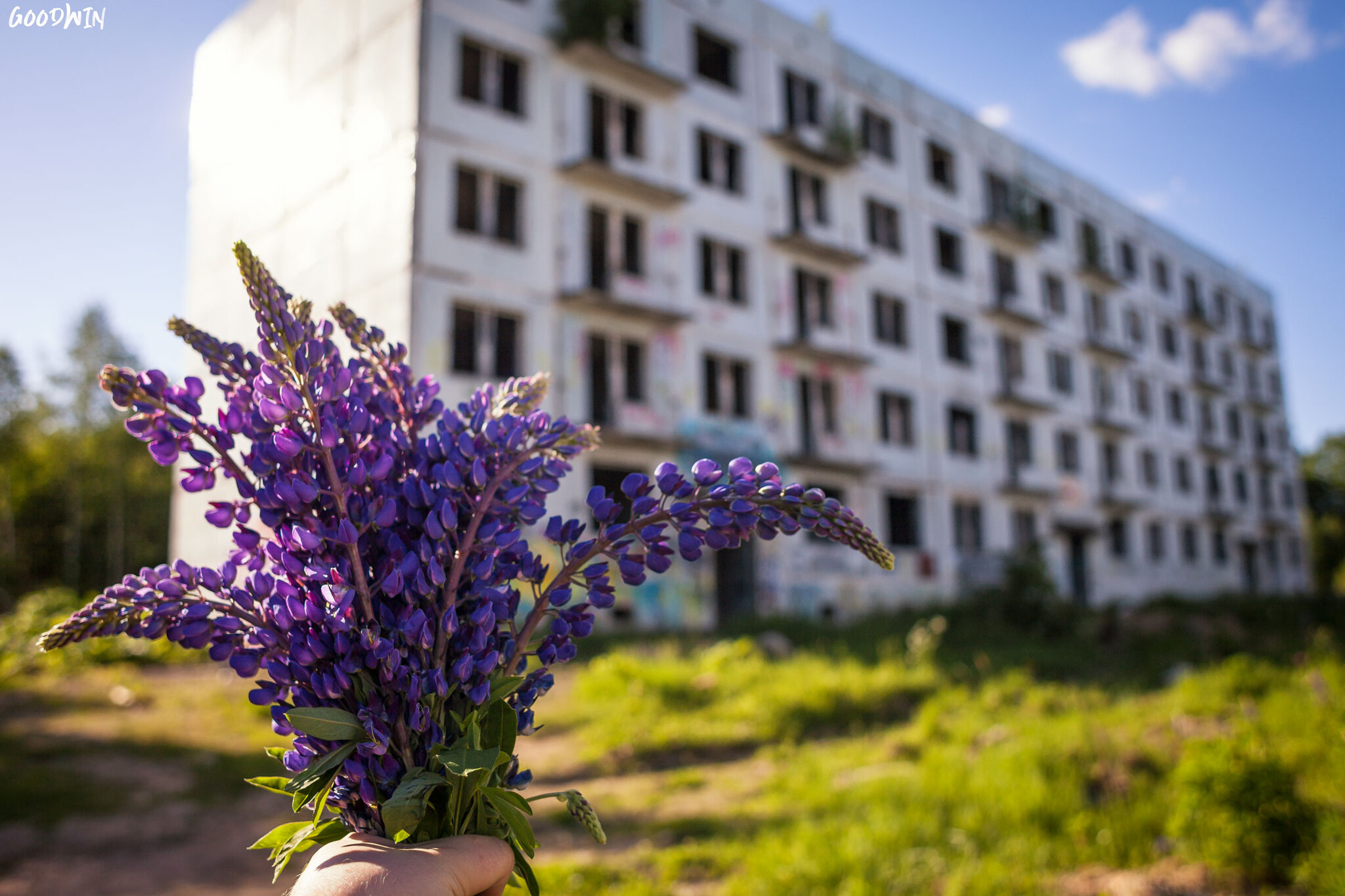 Адуляр - самый мрачный город-призрак Московской области - Моё, Приключения, Заброшенное, Девушки, Путешествия, Красота, Длинные волосы, Московская область, Тайны, Длиннопост