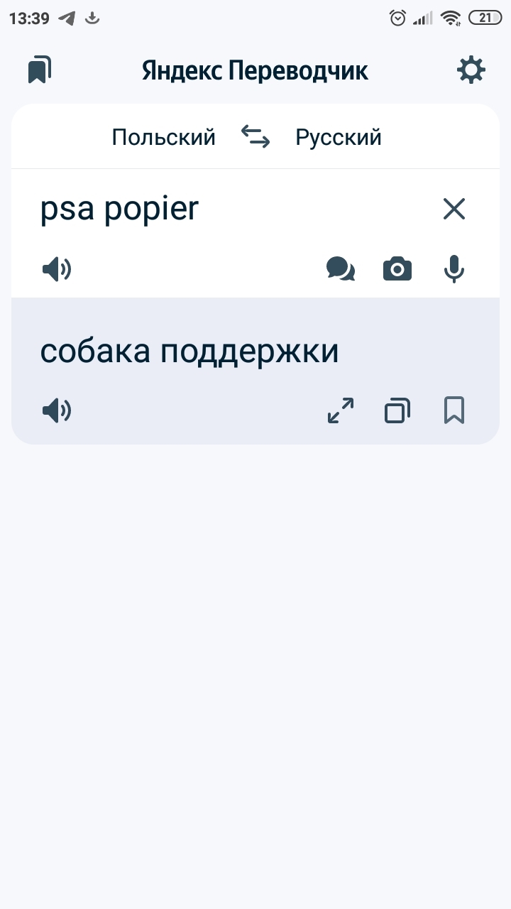 Polish - Polish language, Translation, Yandex translate, Memes, Mat, Longpost