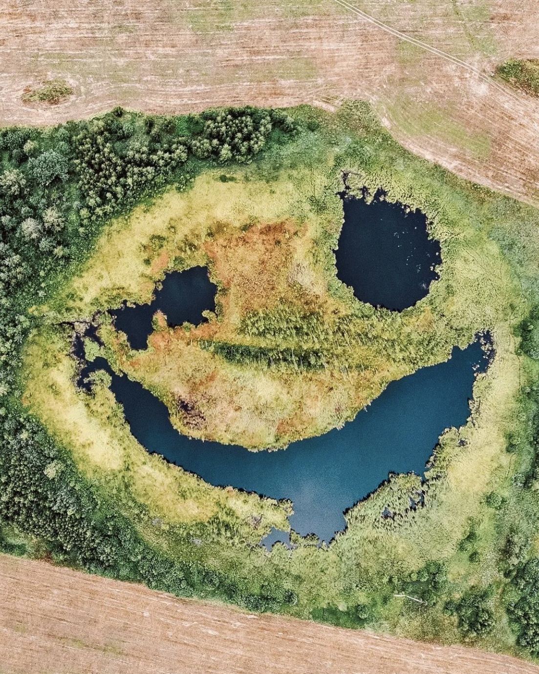 Merry lake in the Vladimir region - The nature of Russia, beauty of nature, Lake, Longpost, Vladimir region