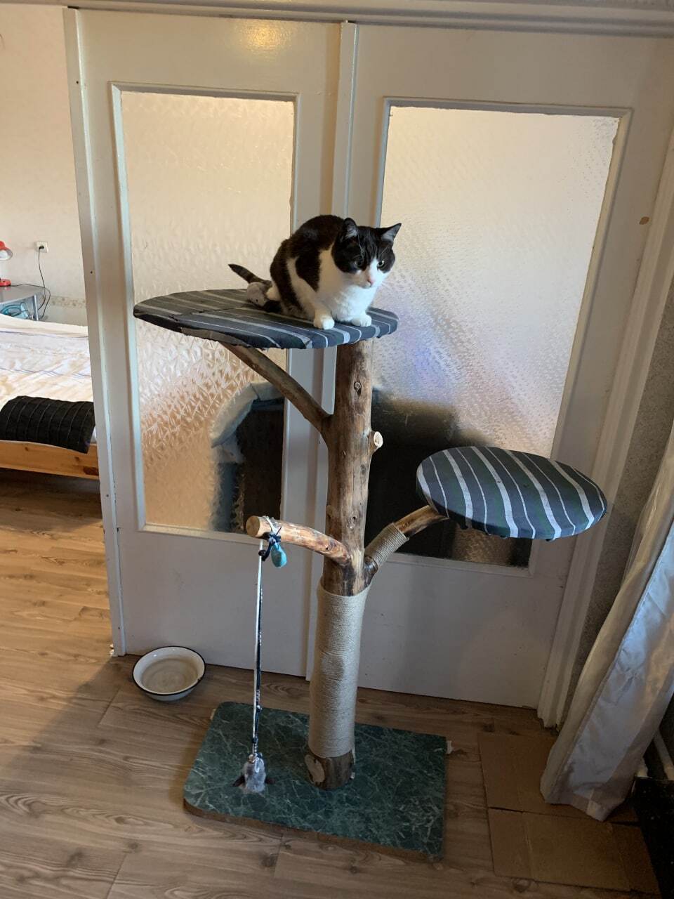 Climb for a cat from garbage - My, Crafts, Wood products, cat, Scratching post, Cat paradise, Secondary raw materials, Longpost, Needlework with process