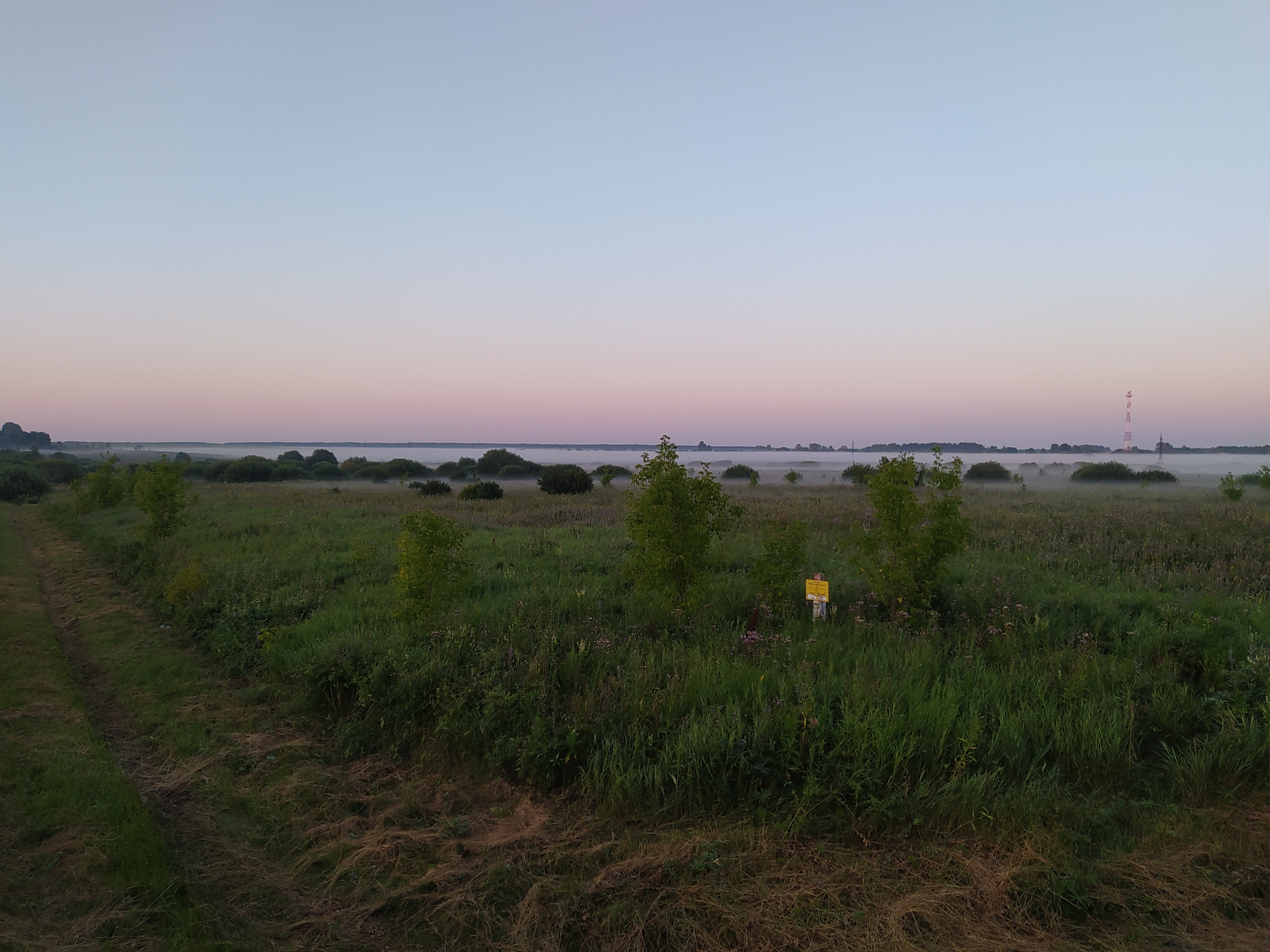 Somewhere in the Nizhny Novgorod region. 4:27 am - My, Mobile photography, Landscape