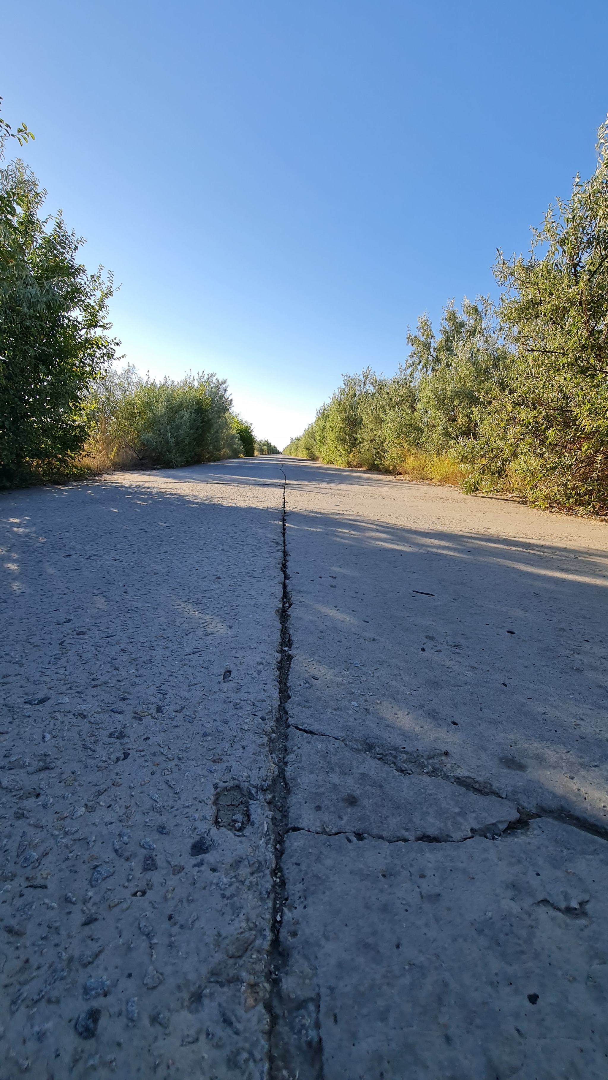 Dry firth - My, Estuary, Mobile photography, The photo, Shchelkino, Crimea, Longpost