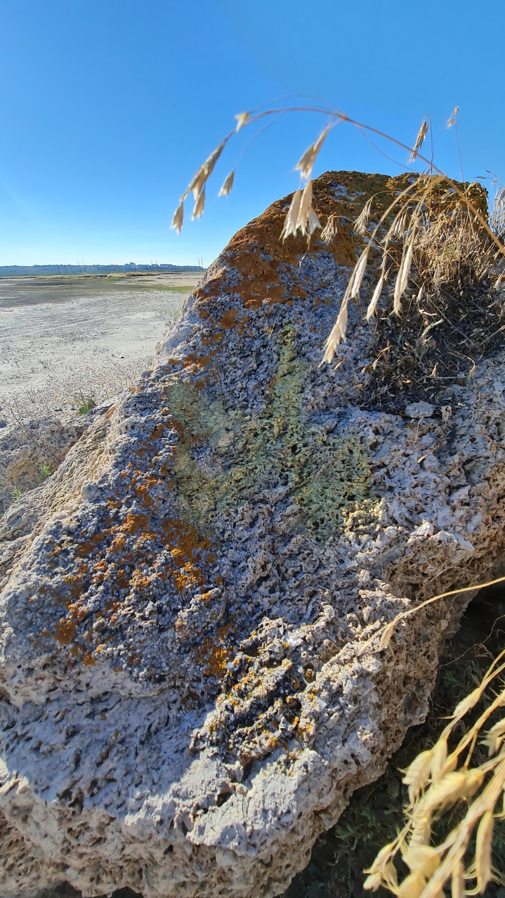 Dry firth - My, Estuary, Mobile photography, The photo, Shchelkino, Crimea, Longpost