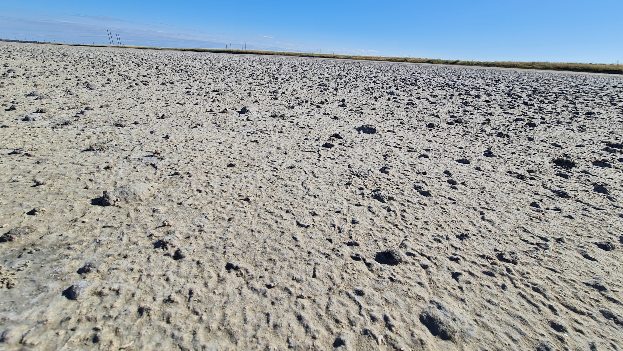 Dry firth - My, Estuary, Mobile photography, The photo, Shchelkino, Crimea, Longpost