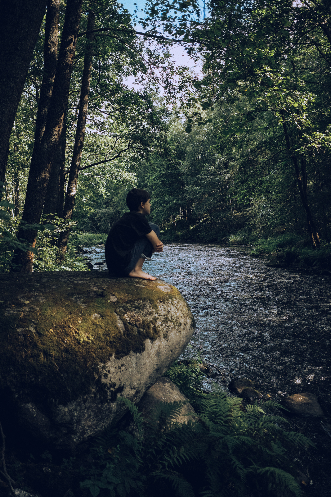 Green World - My, The photo, Hike, Nature, Camping, beauty of nature, Longpost