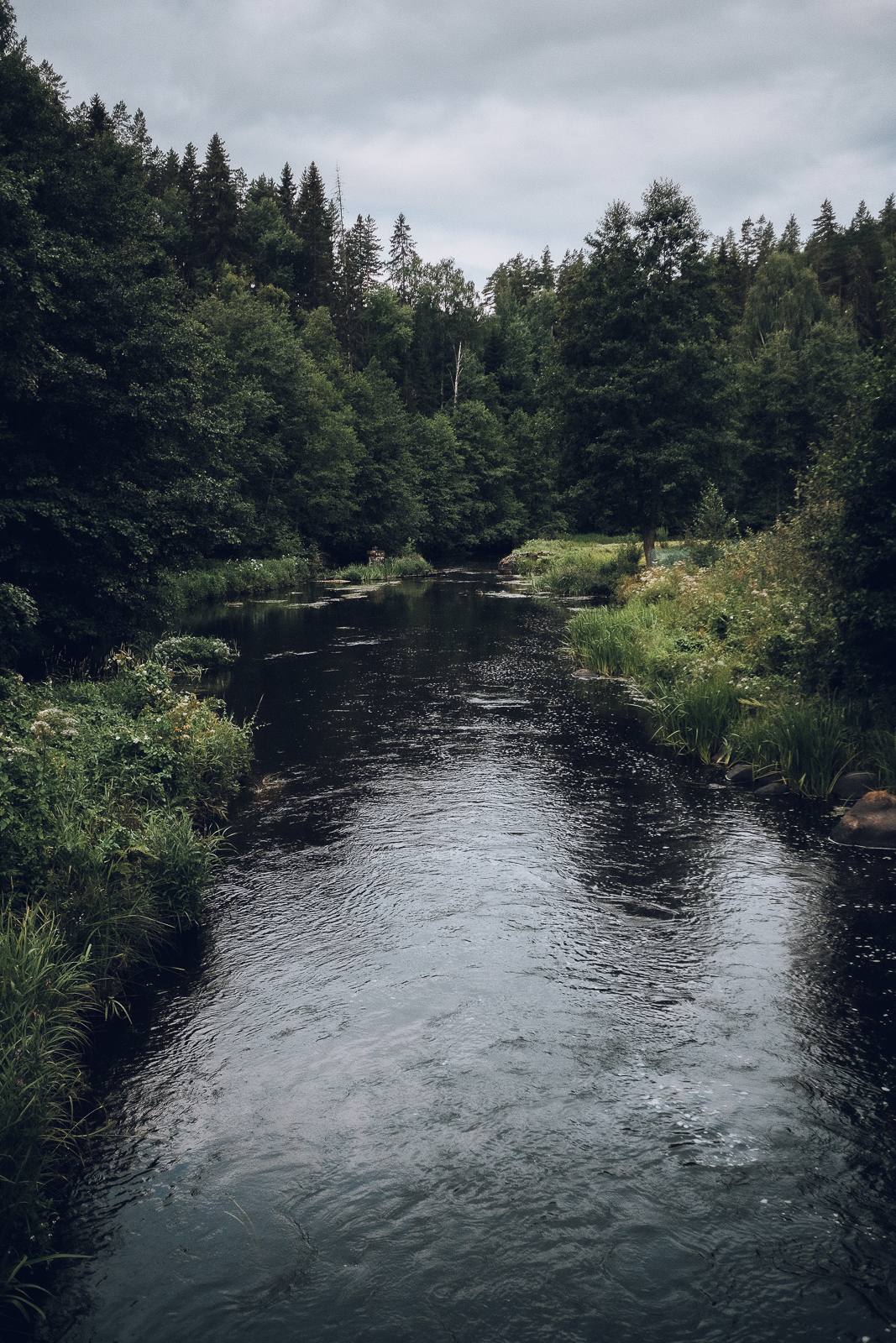 Green World - My, The photo, Hike, Nature, Camping, beauty of nature, Longpost