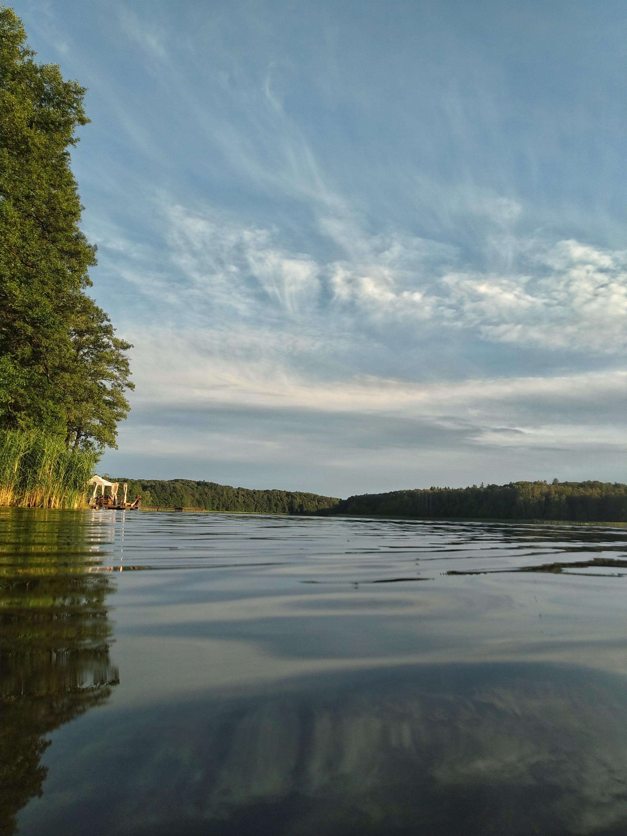 East of the Kaliningrad region - My, Kaliningrad region, Nature, Prussia, A bike, Longpost