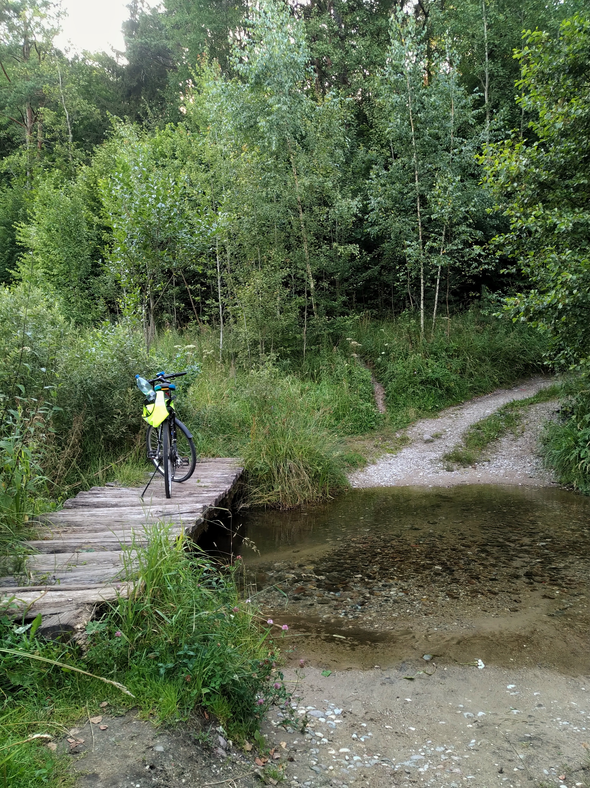 East of the Kaliningrad region - My, Kaliningrad region, Nature, Prussia, A bike, Longpost