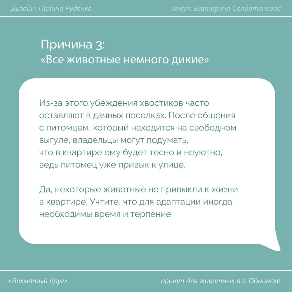 Котиков и собачек оставляют зимовать на дачах без пищи и крыши над головой  | Пикабу