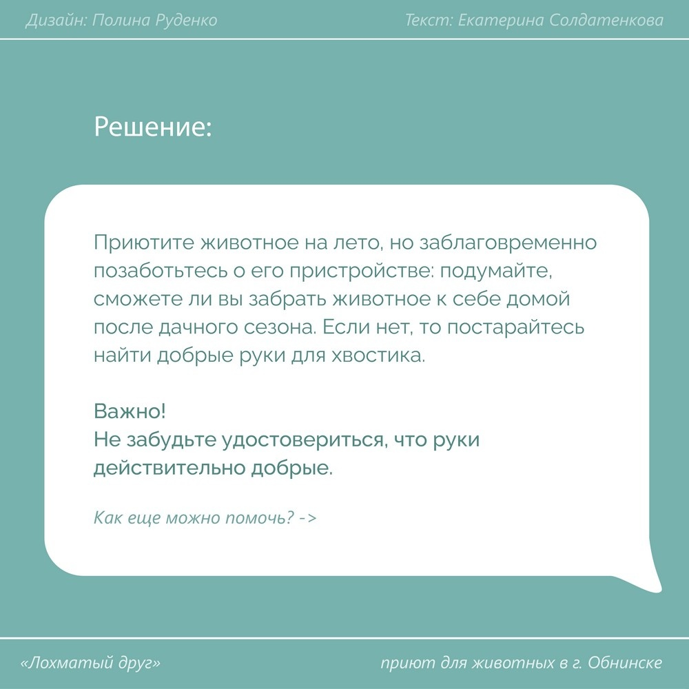 Котиков и собачек оставляют зимовать на дачах без пищи и крыши над головой - Без рейтинга, Кот, Собака, Бездомные животные, Помощь животным, Длиннопост