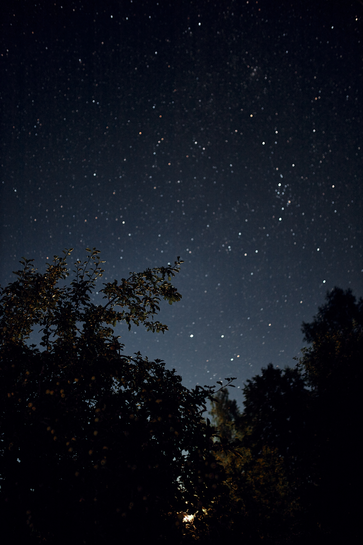 stellar - My, The photo, Stars, Starry sky, Longpost