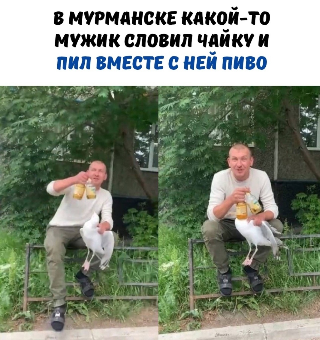 When you're lonely - Humor, Beer, Funny, Loneliness, Picture with text, Murmansk