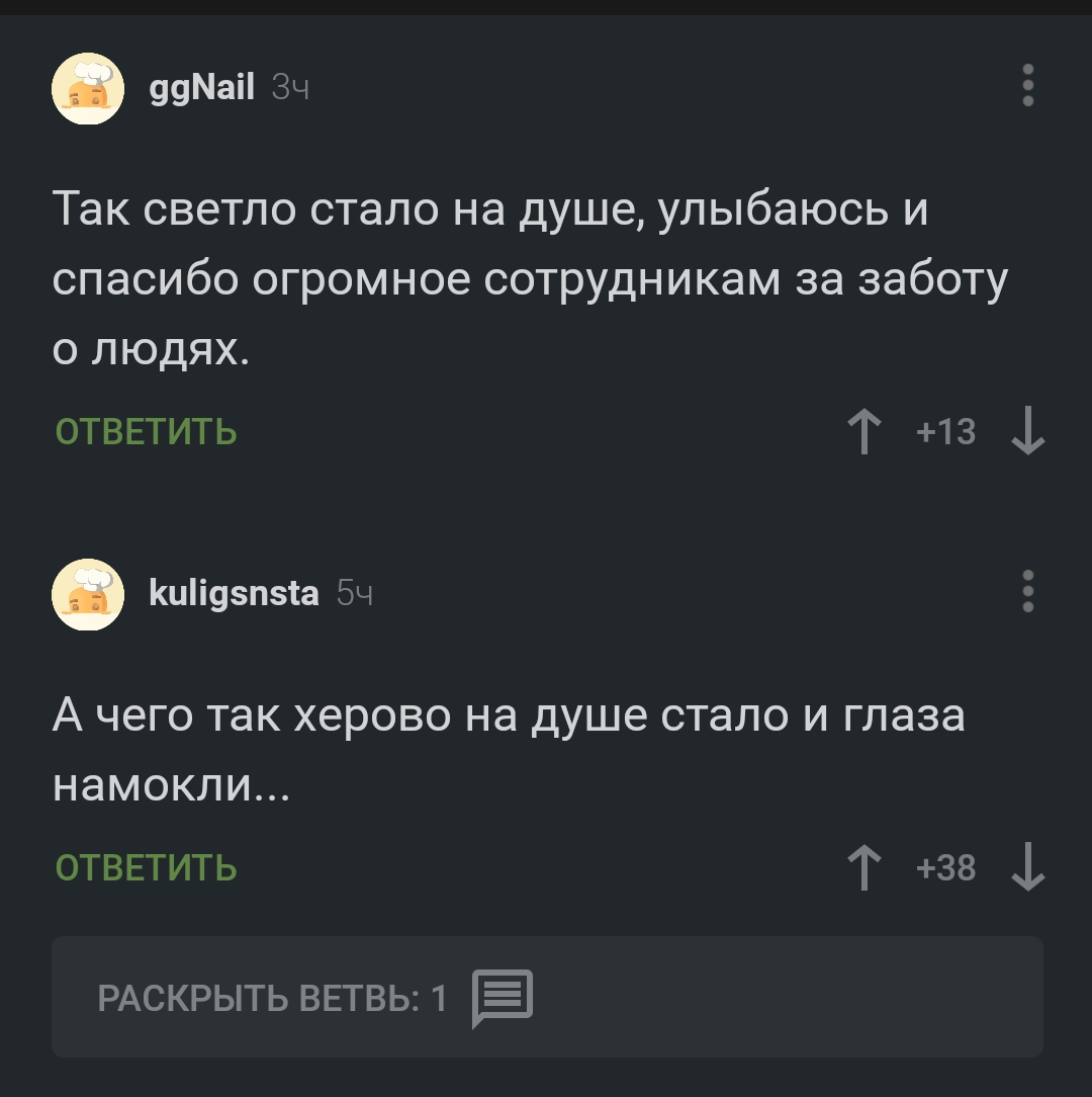 Ответ на пост «Самое душевное видео за сегодня» | Пикабу