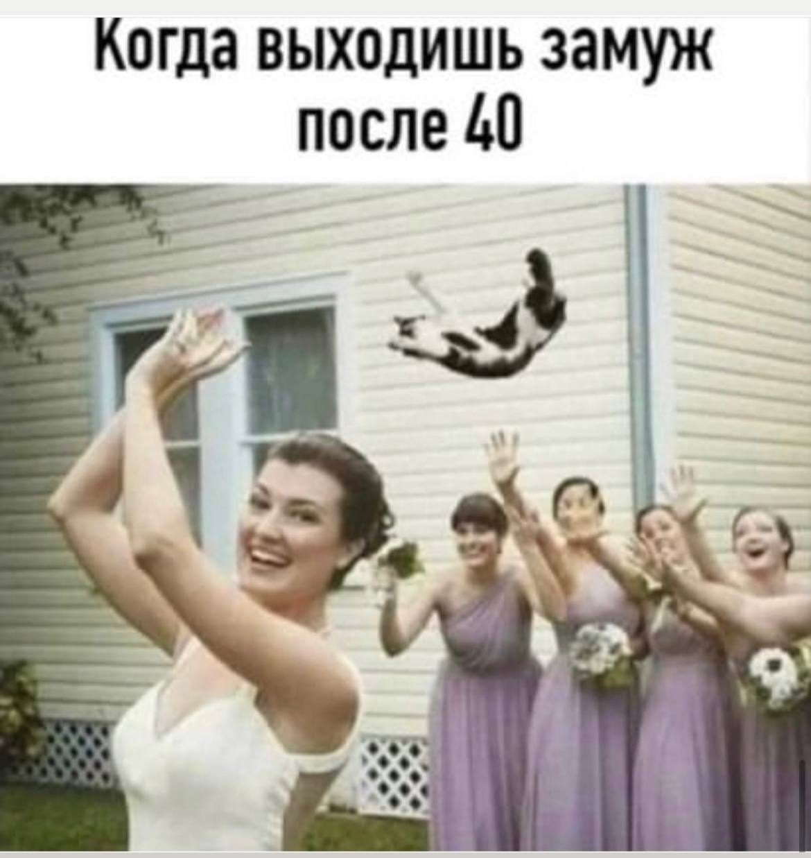 Marriage - Humor, Marriage, cat, Picture with text