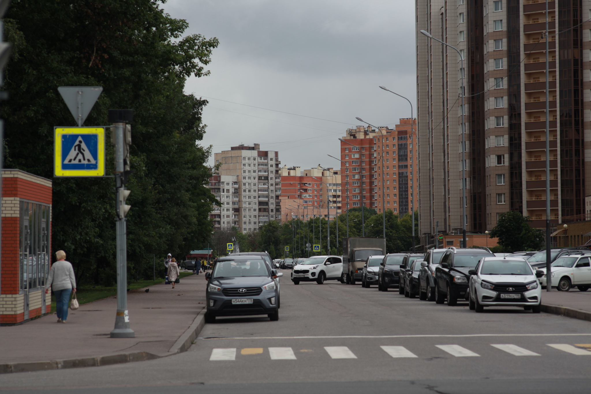 Summer Peter 2 (Kupchino) - My, Beginning photographer, Town, Nature, Animals, Saint Petersburg, I want criticism, Canon, Soviet lenses, Longpost, The photo