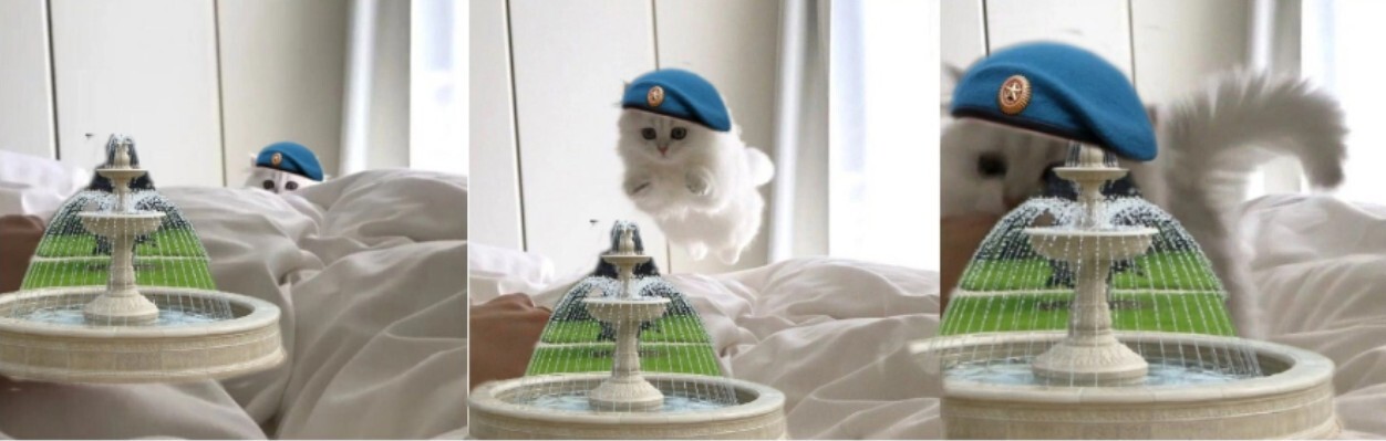 For the airborne forces! - My, Day of the Airborne Forces, cat, Fountain, Humor