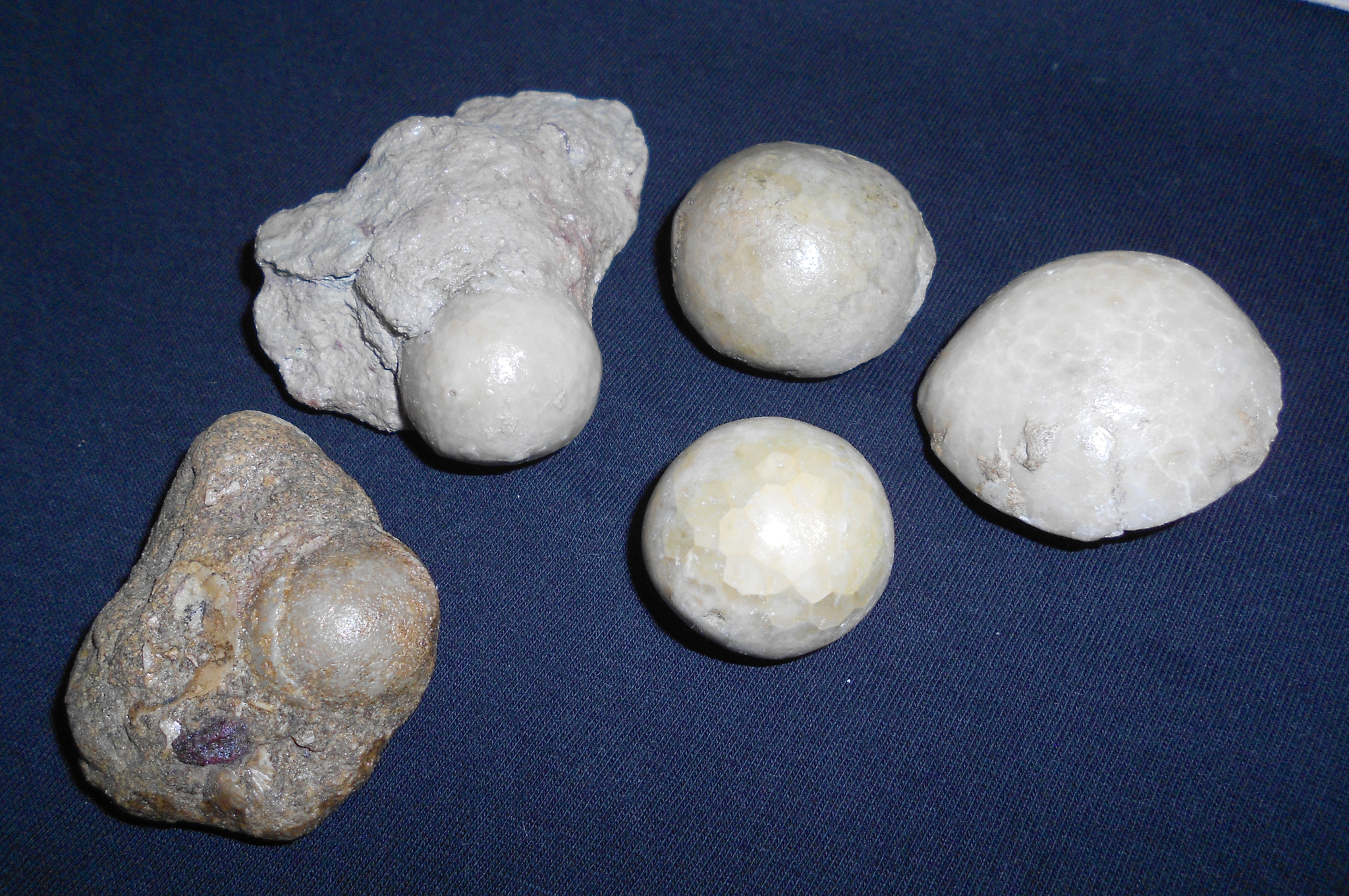 Example of fossils of the Volkhov River, Leningrad Region - My, Fossils, Paleontology, Longpost