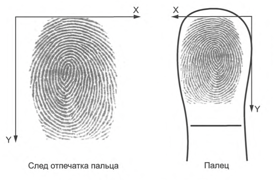 How fingerprinting works - My, Research, The science, Crime, Expertise, IT, Nauchpop, Detective, Longpost