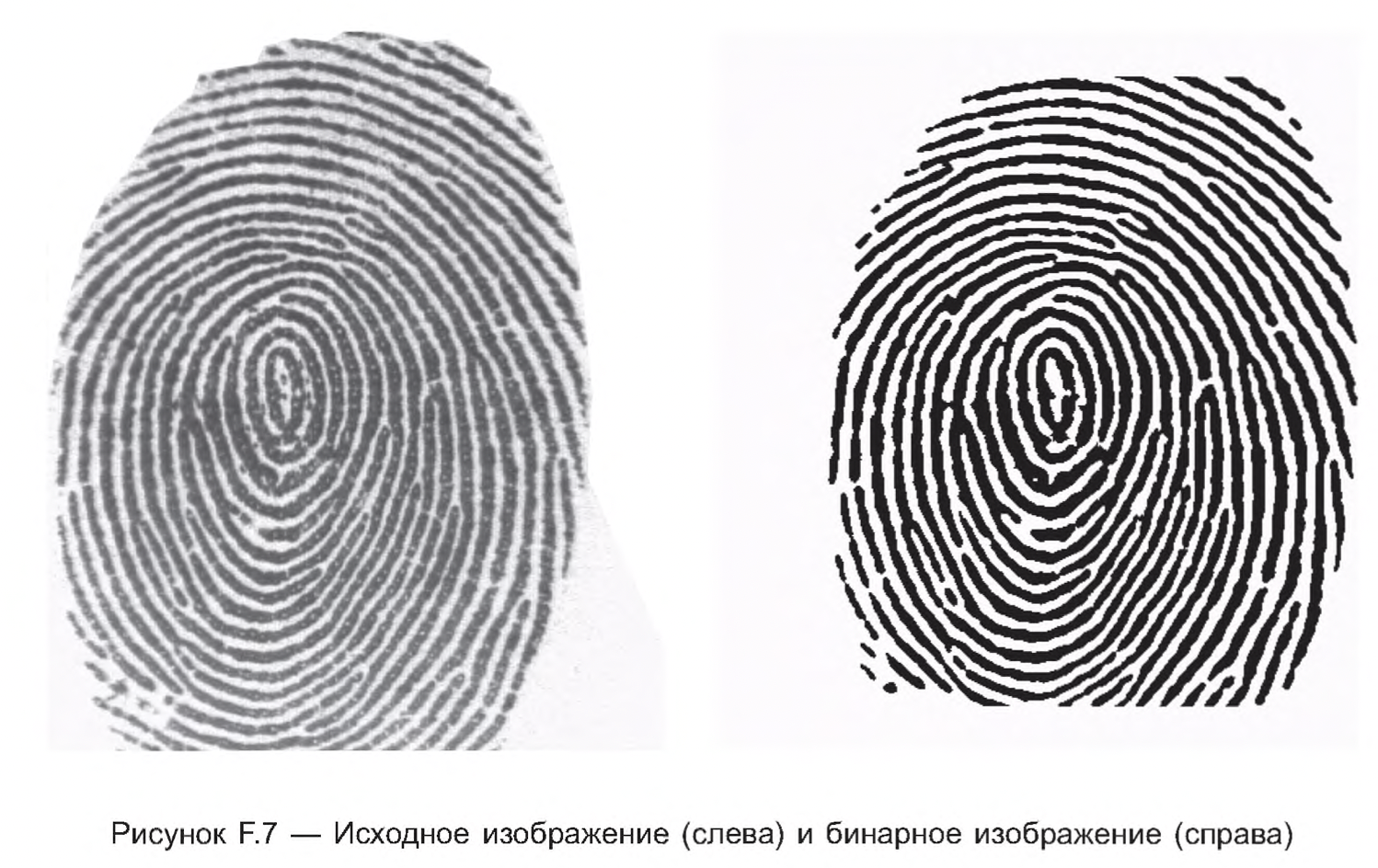 How fingerprinting works - My, Research, The science, Crime, Expertise, IT, Nauchpop, Detective, Longpost