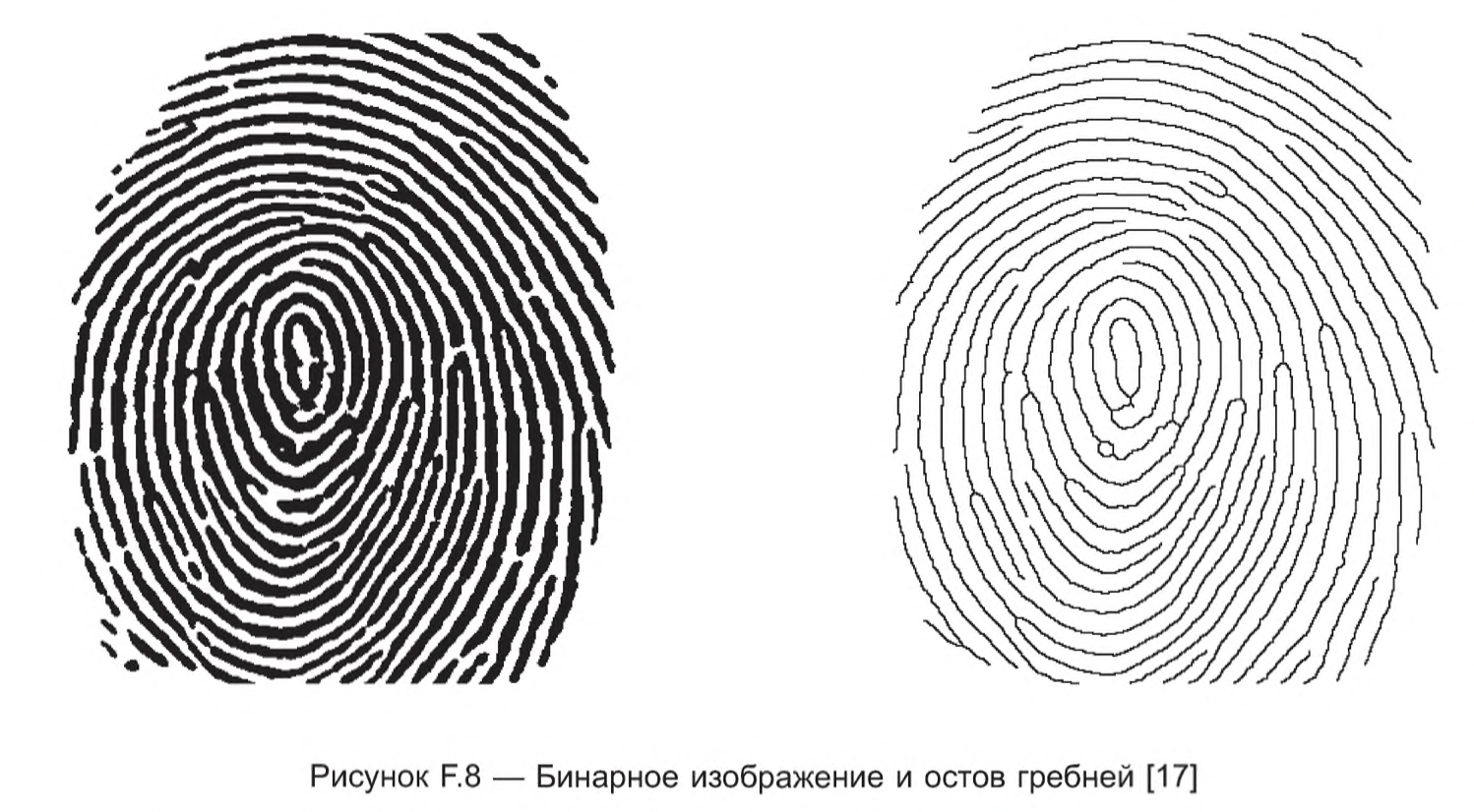 How fingerprinting works - My, Research, The science, Crime, Expertise, IT, Nauchpop, Detective, Longpost