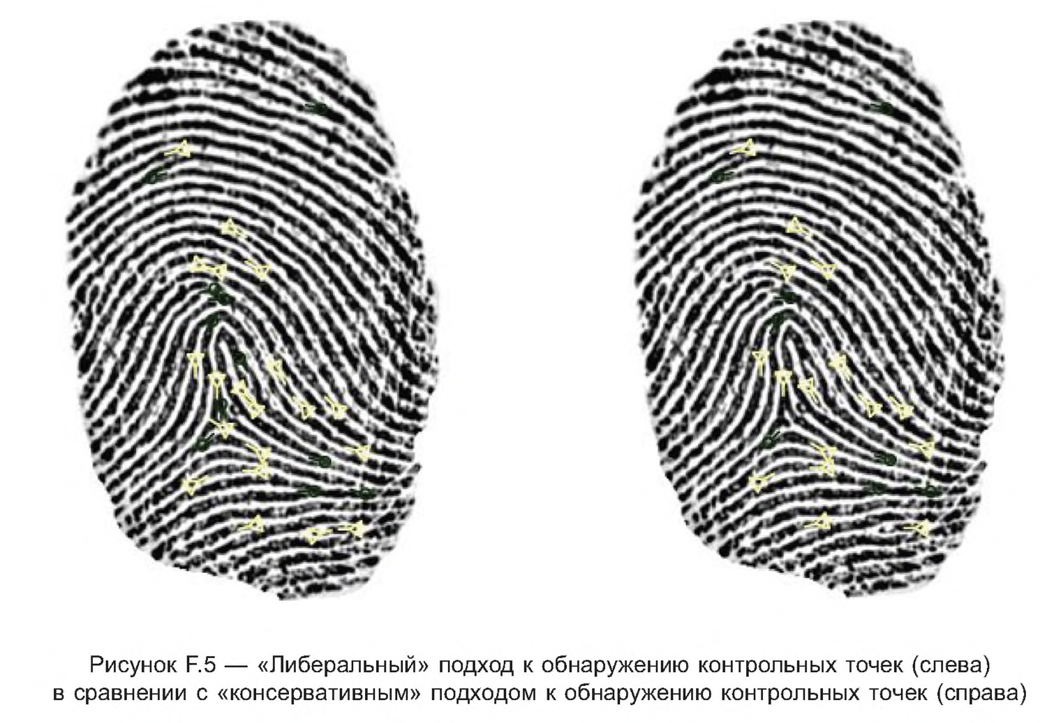 How fingerprinting works - My, Research, The science, Crime, Expertise, IT, Nauchpop, Detective, Longpost