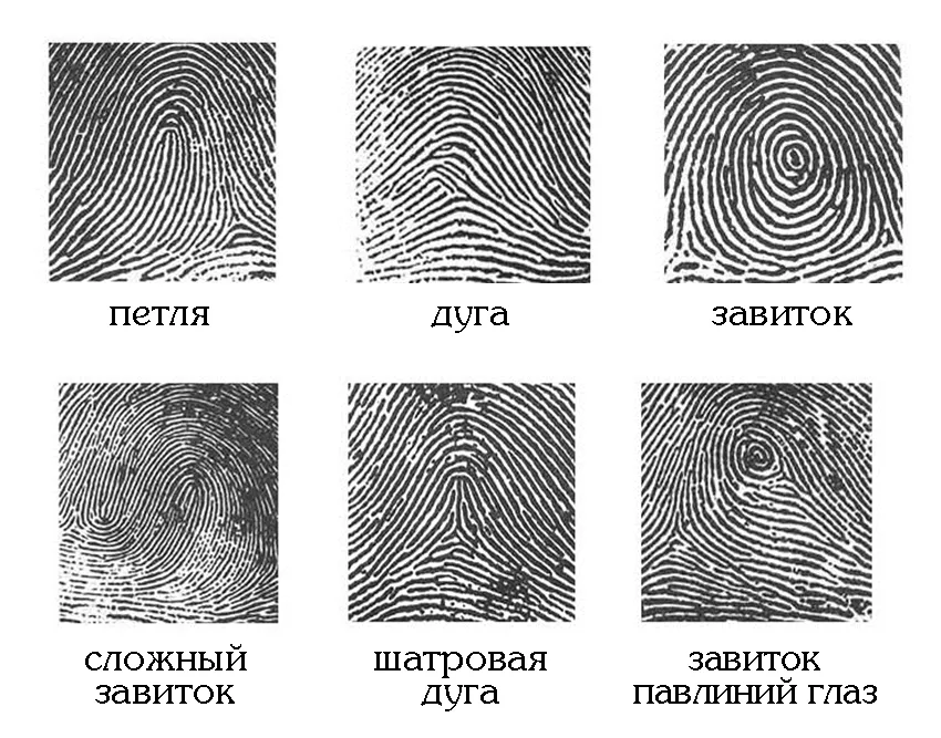 How fingerprinting works - My, Research, The science, Crime, Expertise, IT, Nauchpop, Detective, Longpost