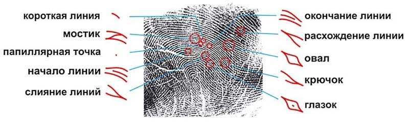 How fingerprinting works - My, Research, The science, Crime, Expertise, IT, Nauchpop, Detective, Longpost