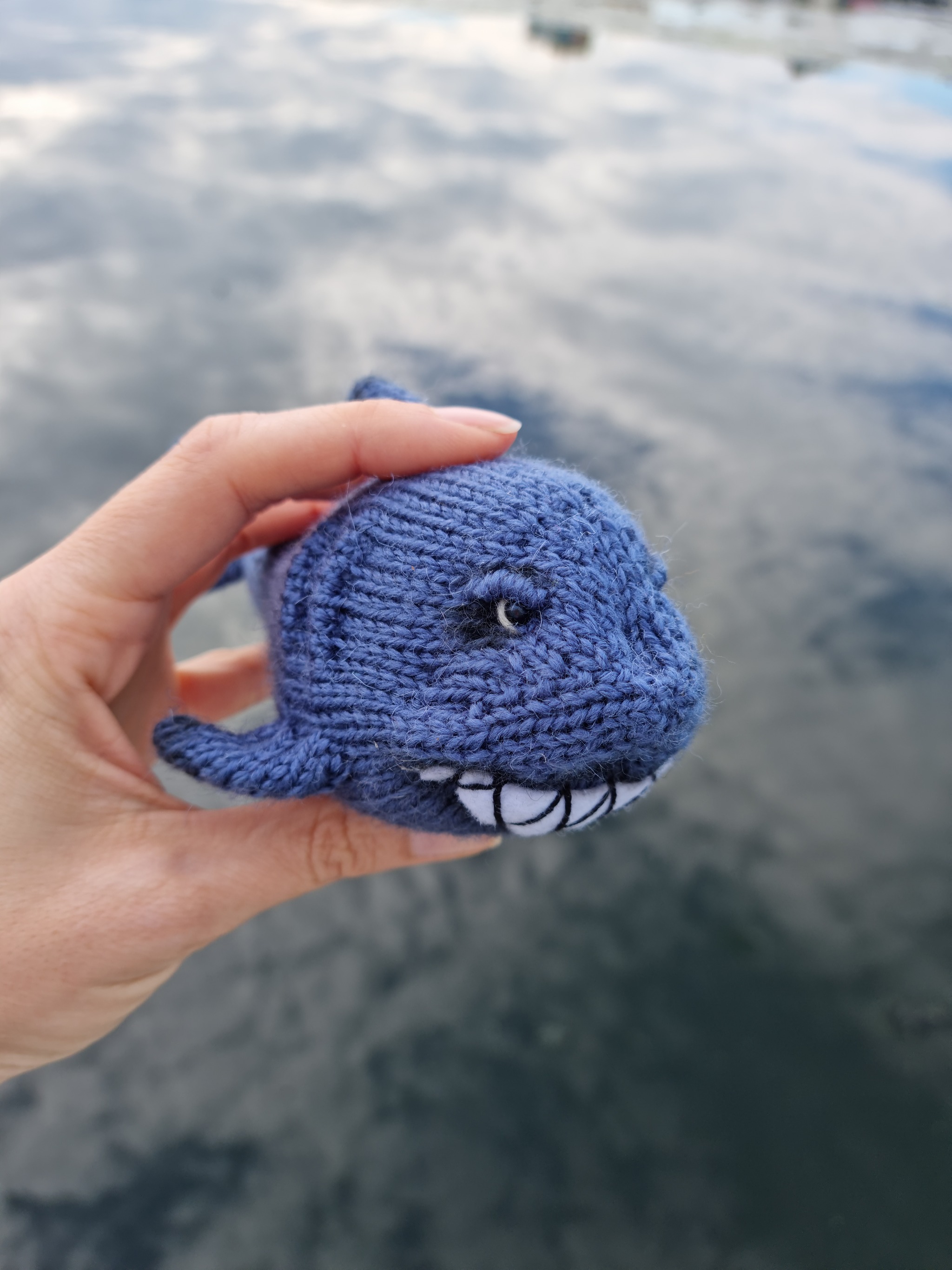 Shark... - My, Needlework without process, Shark, Knitting, Longpost