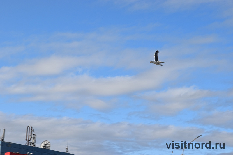 The central street of the capital of Chukotka, walks along Anadyr - My, Travel across Russia, Tourism, Туристы, Travels, Chukotka, Anadyr, Longpost