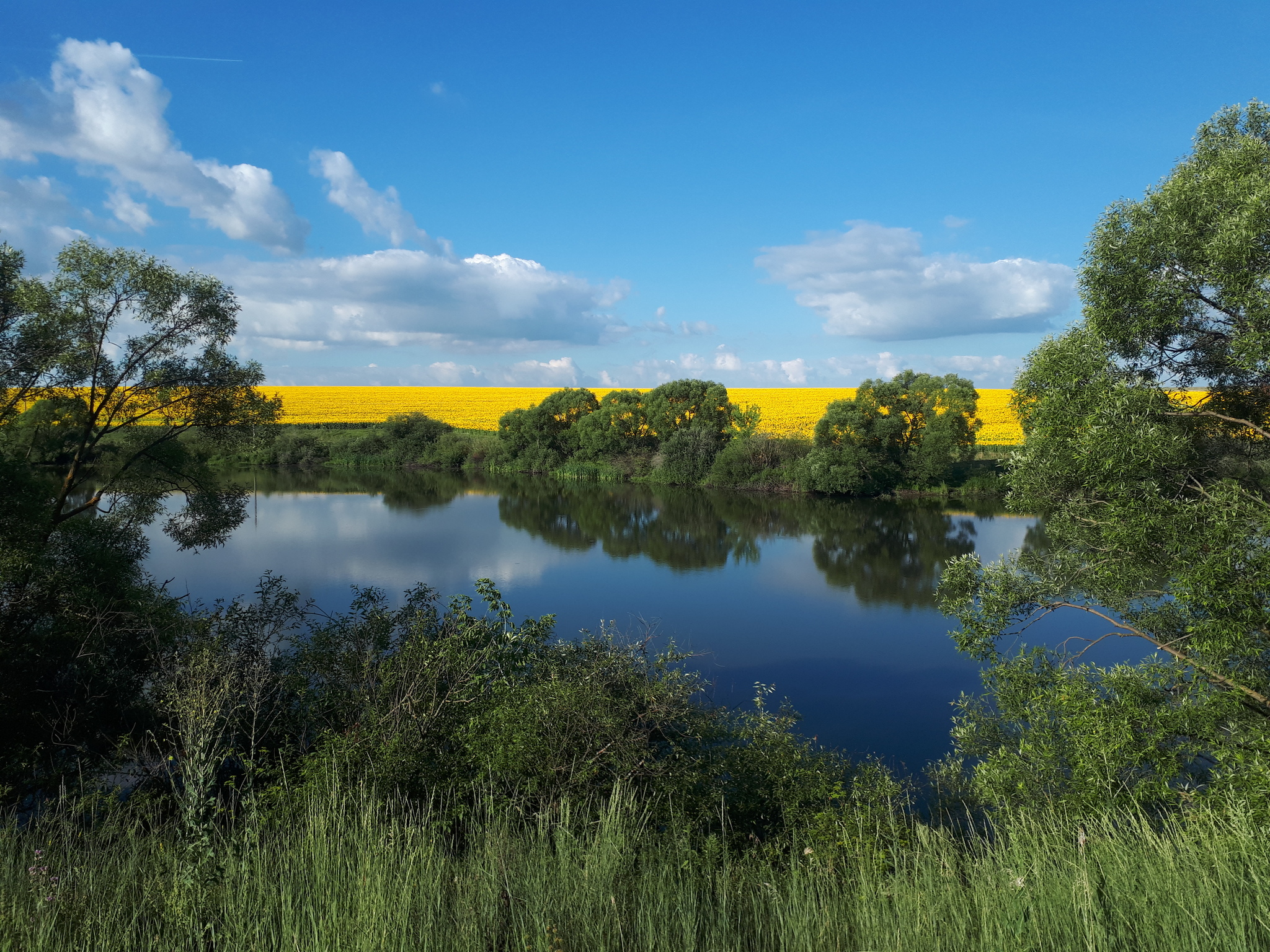 Morning on the pond - My, Mobile photography, Images, Beautiful view, beauty of nature, Pond, Sky, Clouds